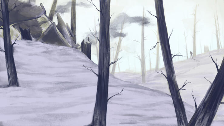 snow hatch 2